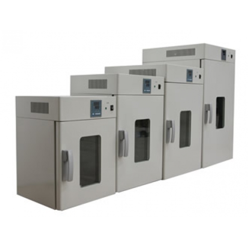 電熱恒溫鼓風干燥箱