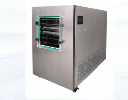 LGJ-200FG原位冷凍干燥機(jī)